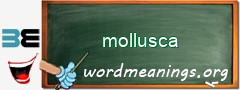 WordMeaning blackboard for mollusca